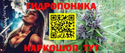 хмурый Канаш