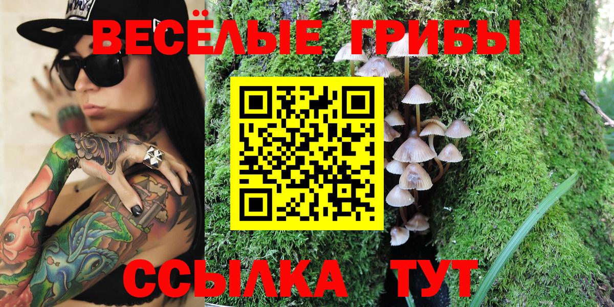 Галлюциногенные грибы GOLDEN TEACHER  Вход с VPN  Кропоткин  Галлюциногенные грибы мицелий 